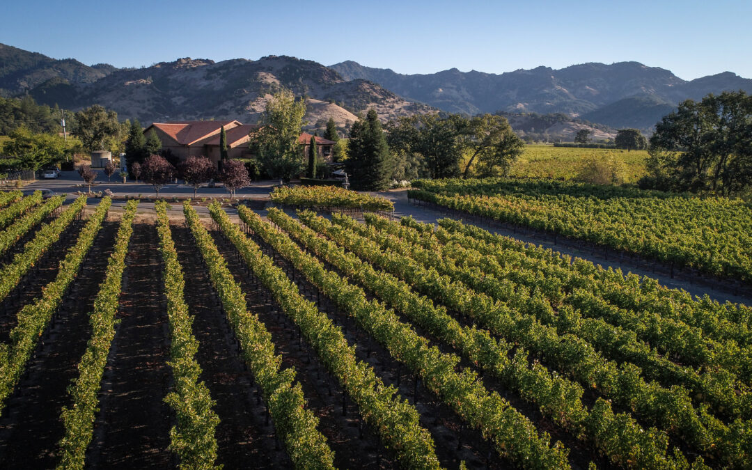 Savoring the Secrets: The Undiscovered Wines of Calistoga