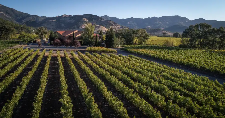 Savoring the Secrets: The Undiscovered Wines of Calistoga