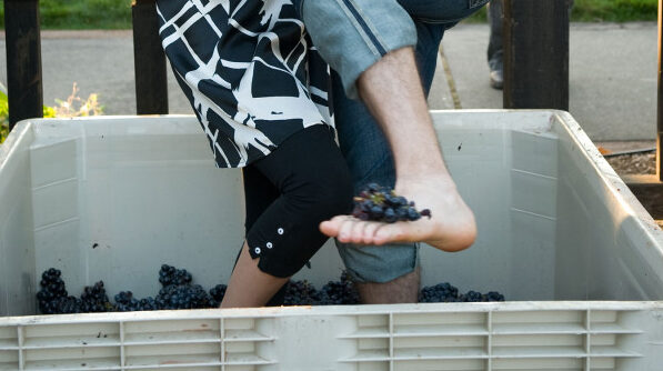 Person stomping grapes