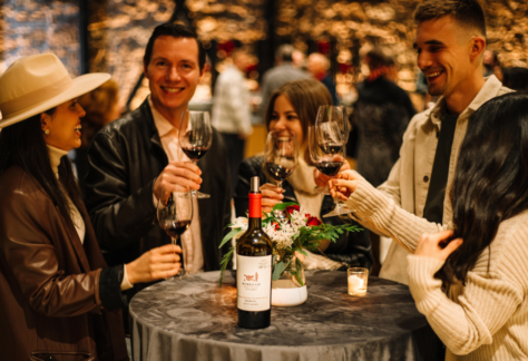 people toasting wine and smiling