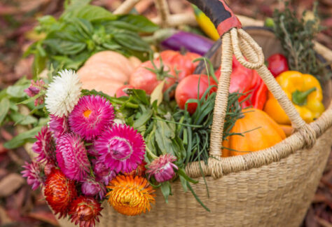 basket of flower and vegetables