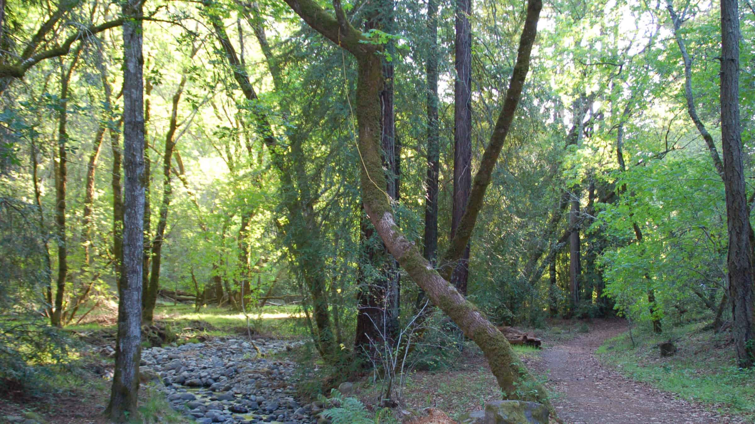 Bothe napa park