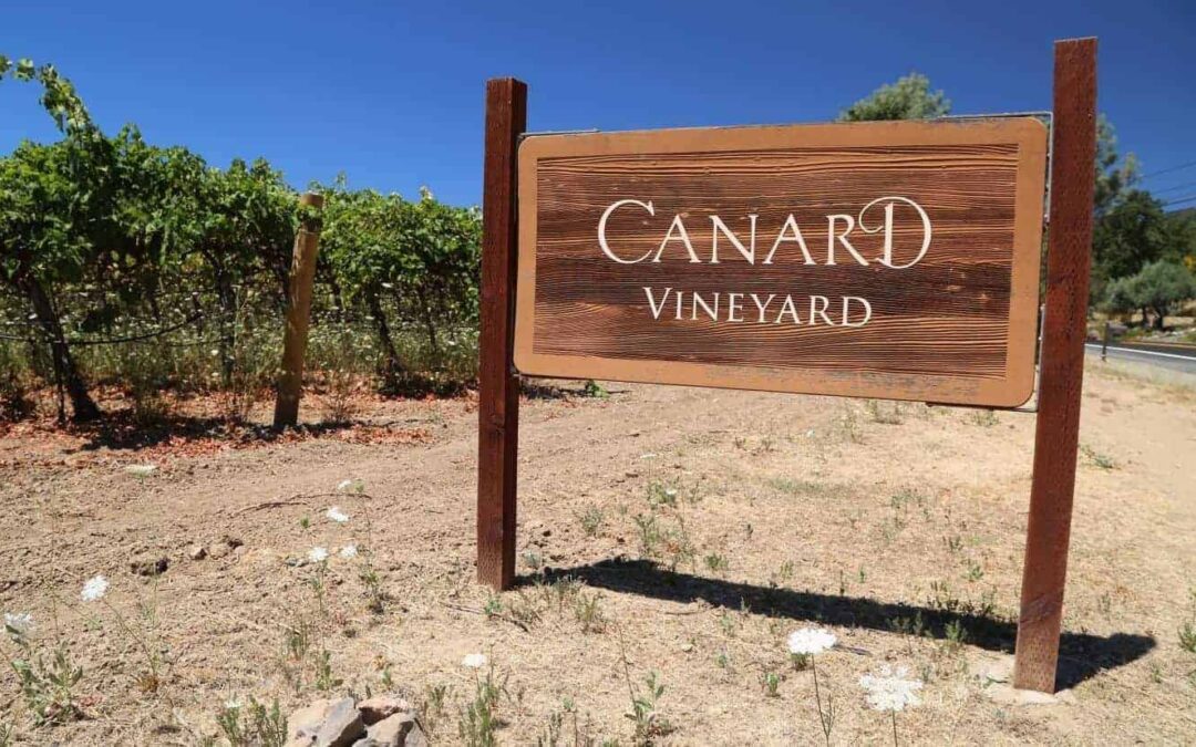 CANARD VINEYARD