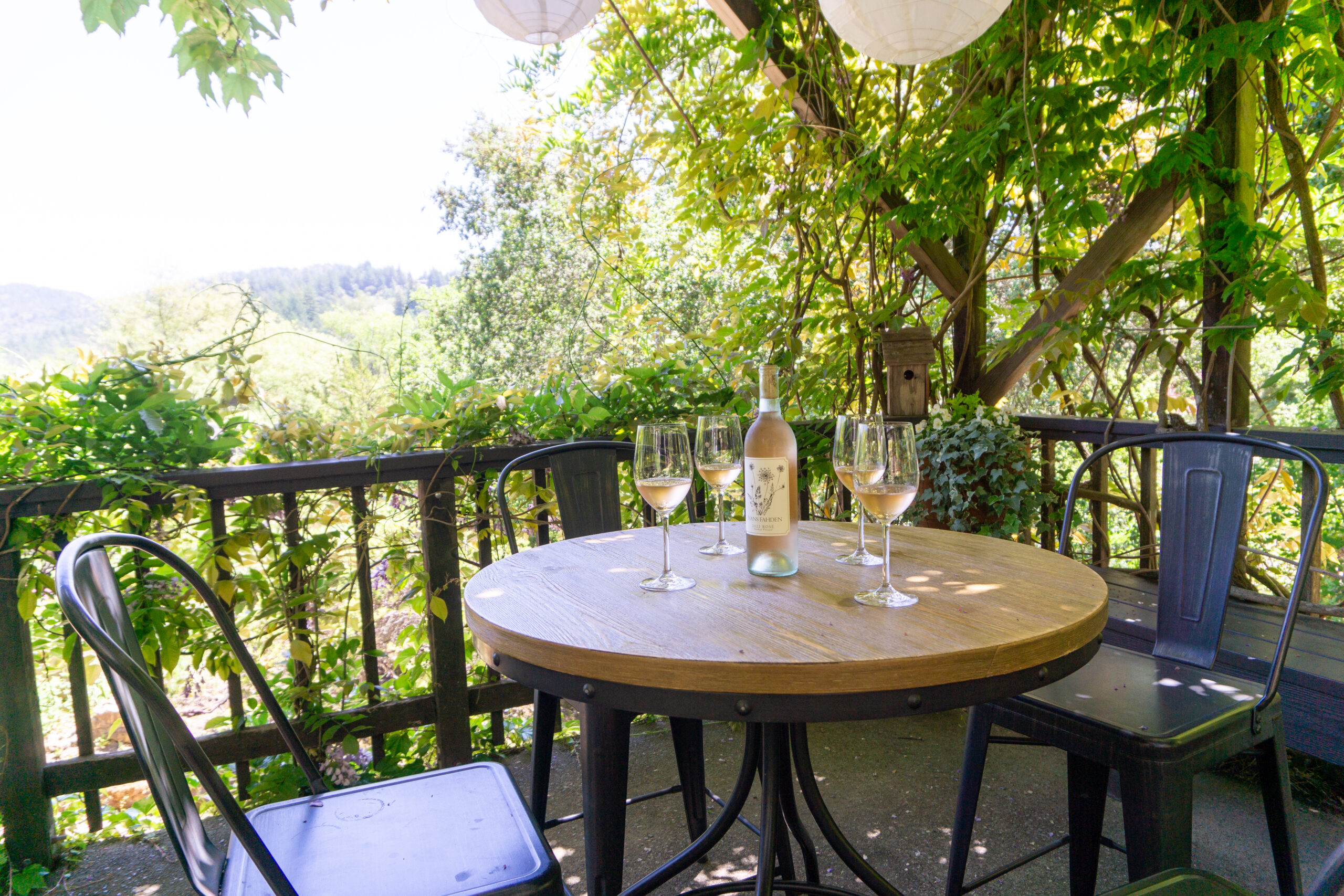 bottle of wine on table on porch with vines