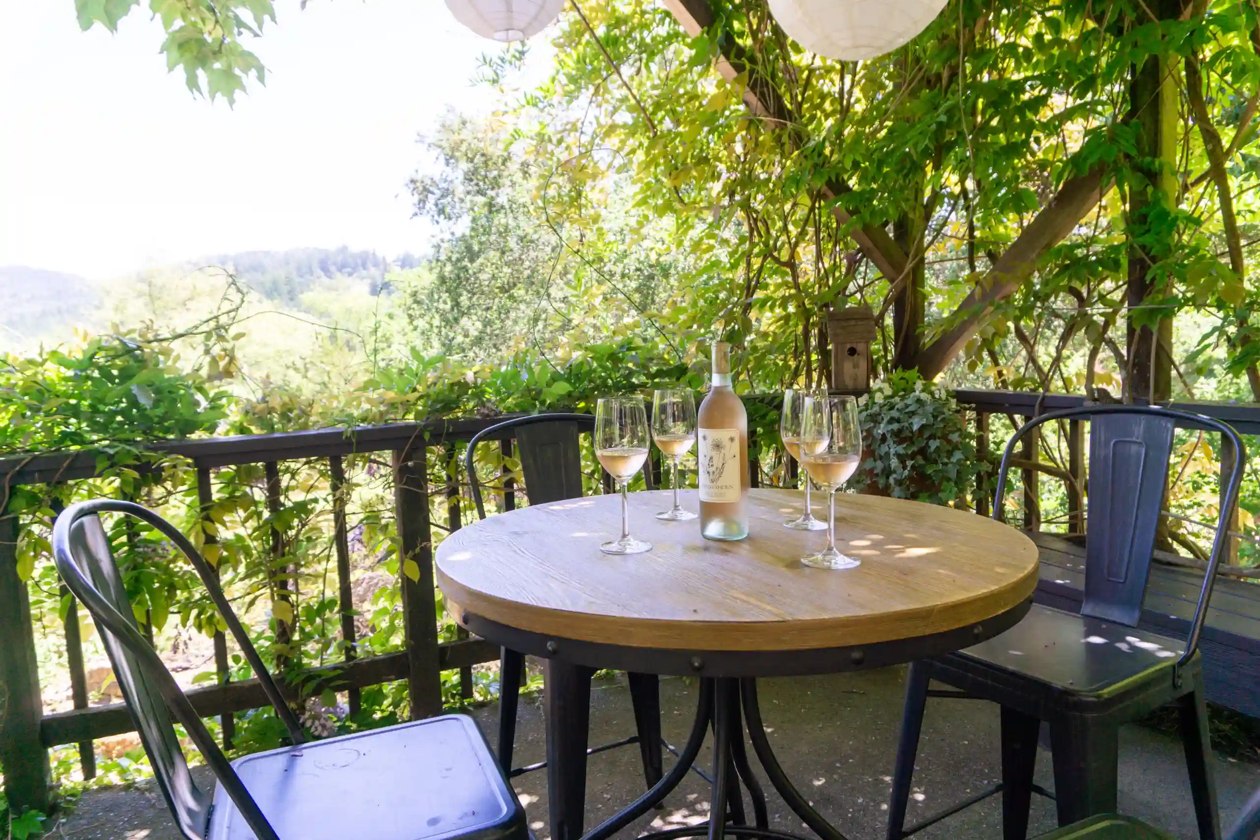 Bottle of wine on table on porch with vines