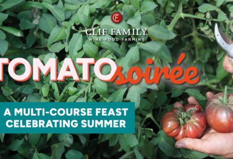 image of hand cutting tomatoes saying "cliff family, wine food farming, tomato soirée, a multi-course feast celebrating summer"