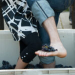 two people crushing grapes with their feet