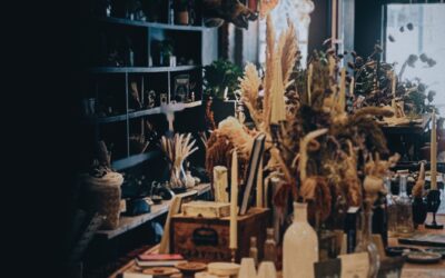 Meet the Merchant – Dyana Lovold, Field Trip