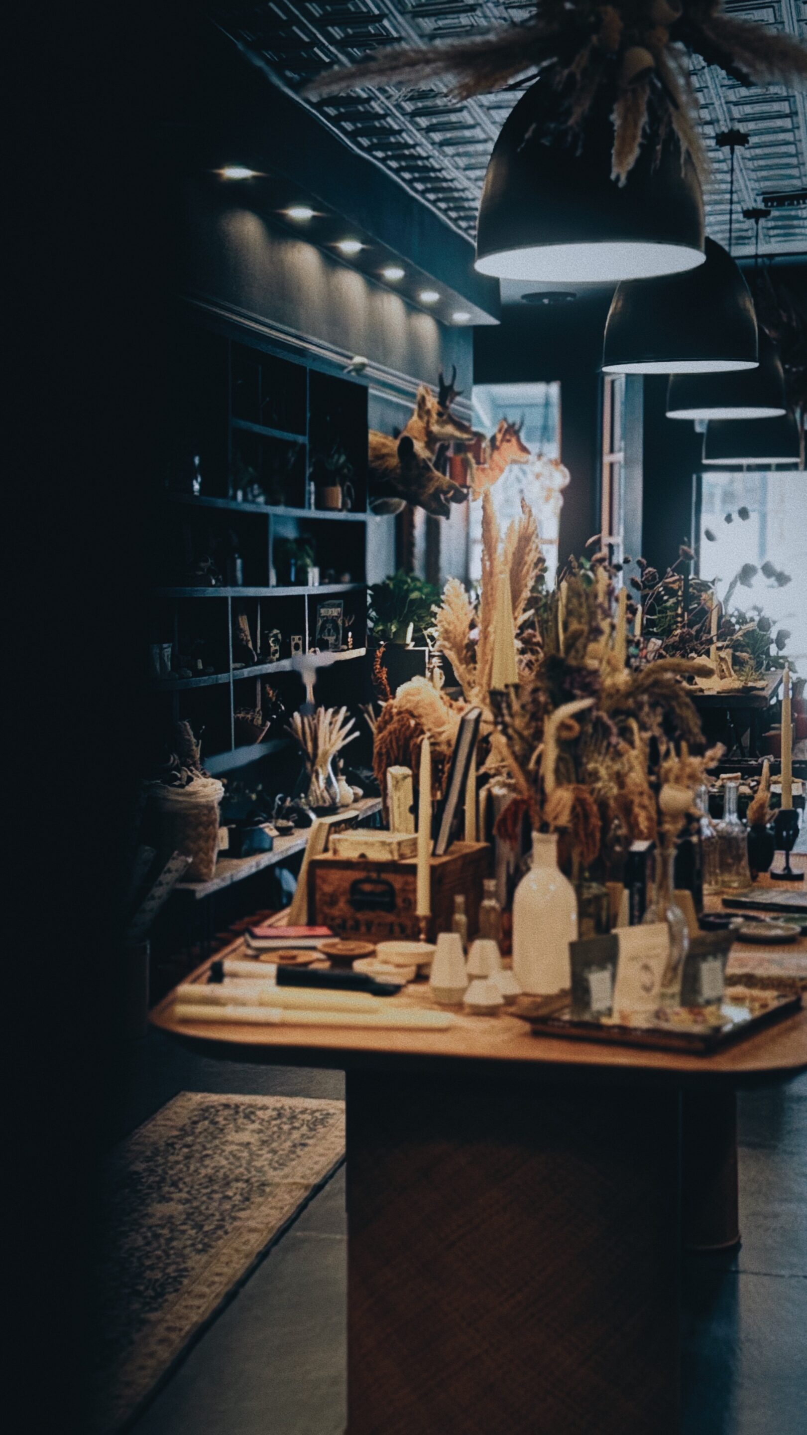 Field Trip Calistoga