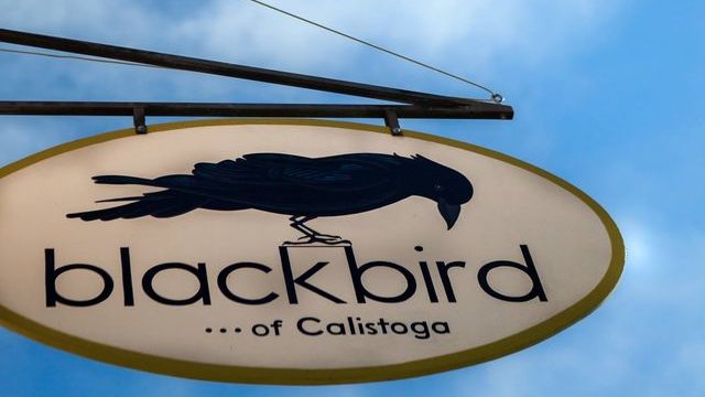 Blackbird sign