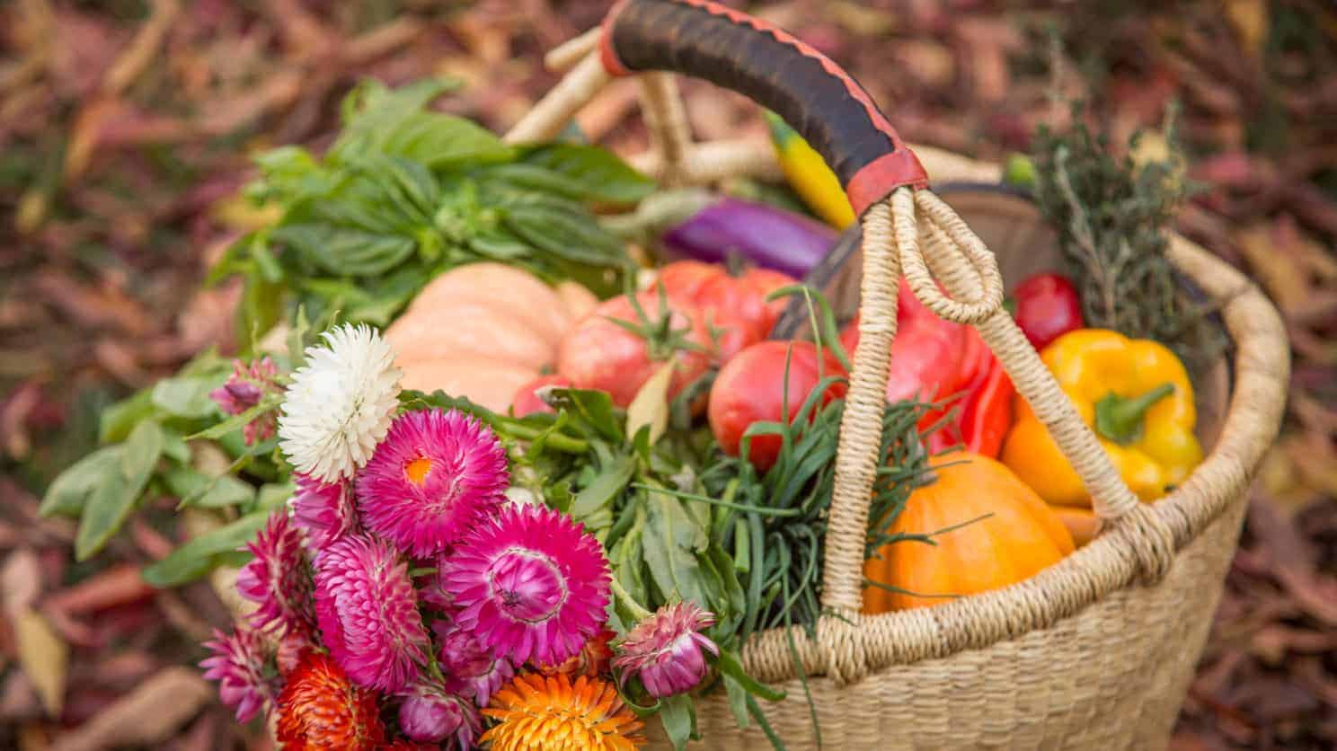 Basket of flower and vegetables