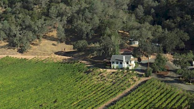 Kenefick Ranch vineyards