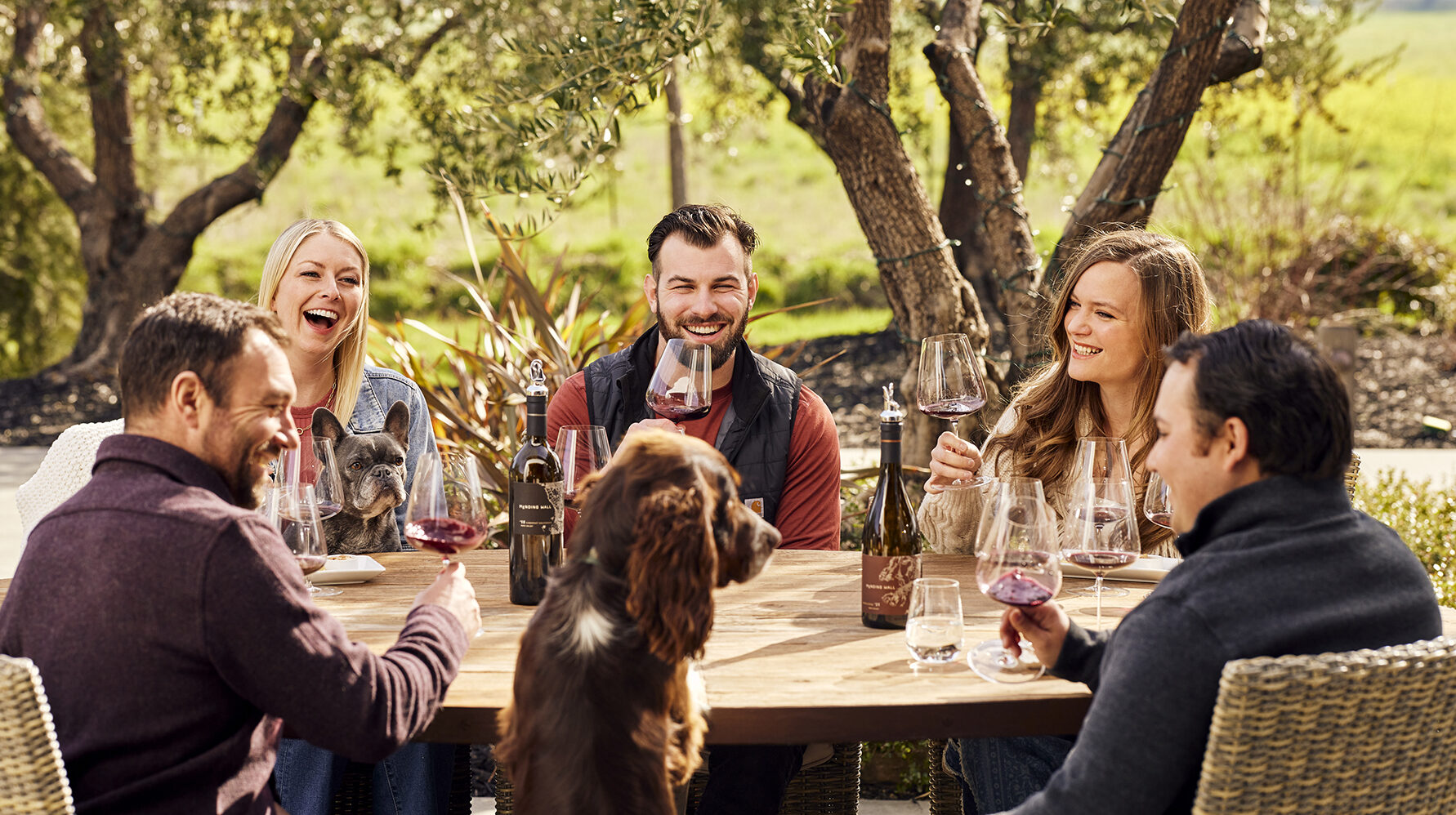 group of friend wine tasting with dogs on the table