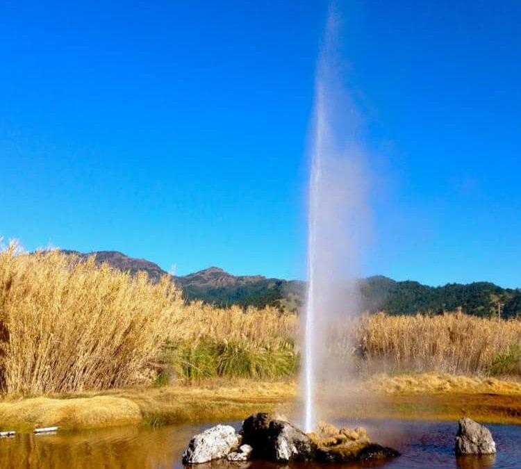 OLD FAITHFUL GEYSER