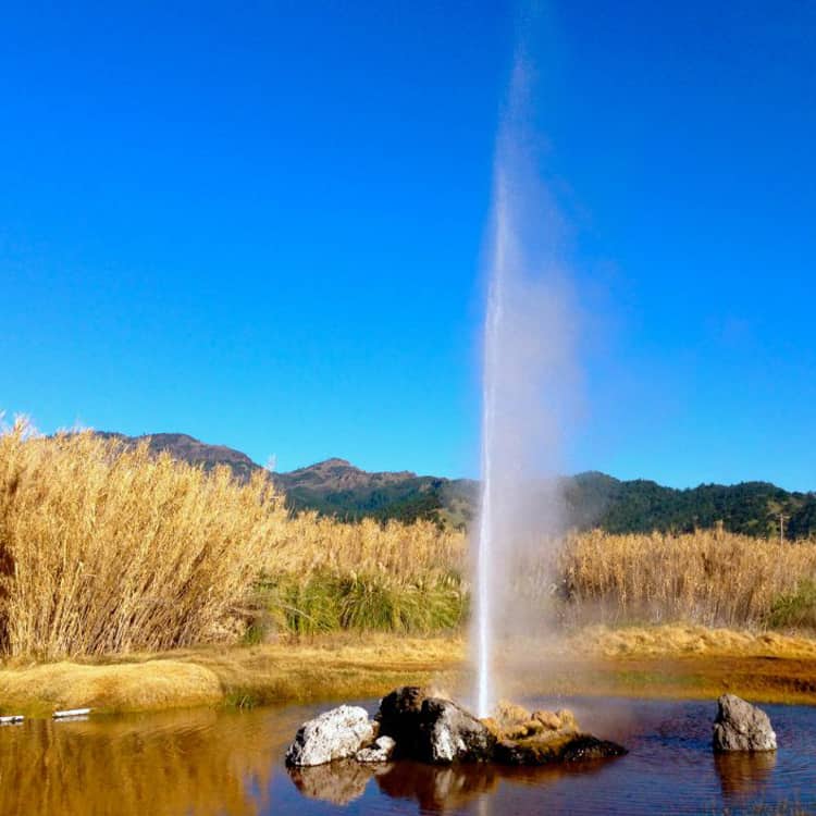 Old Faithful Geyser active