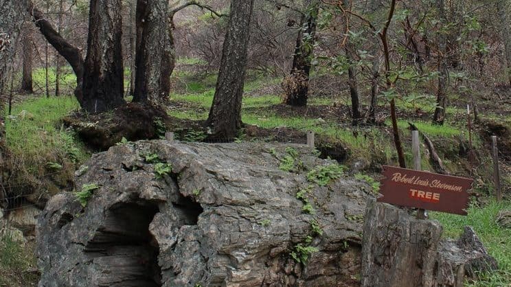 PETRIFIED FOREST