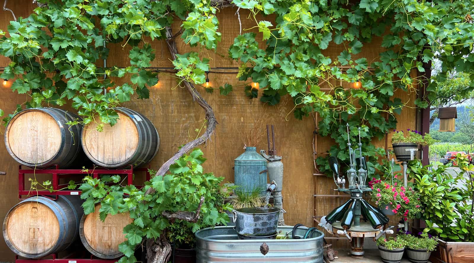 Tedechi Winery with vintage wine bottles and barrels