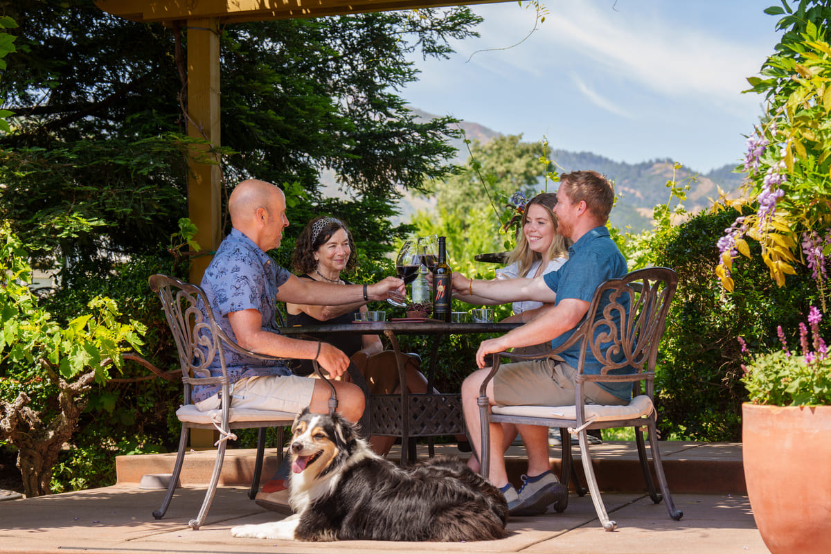 people sitting around table drinking wine