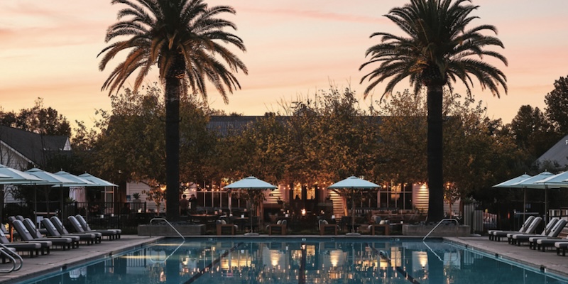 palm trees and pool at hotel