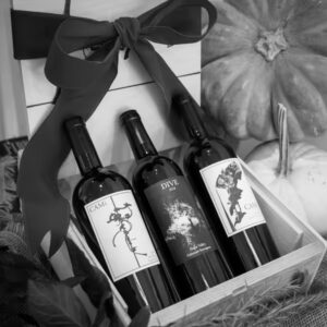 black and white portrait of three bottles of CAMi Vineyard Wines: CAMi Red Wine Blend 2020, CAMi Cabernet Sauvignon 2021, CAMi Dive Caberent Sauvignon 2018 in a Custom Wood Box with a bow on top and pumpkins in the back