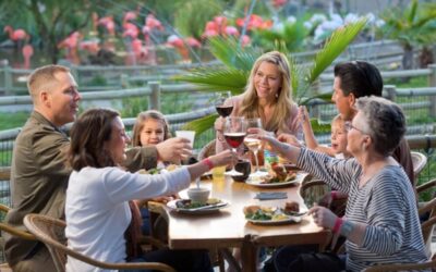 Family-Friendly Things to Do in Calistoga, California