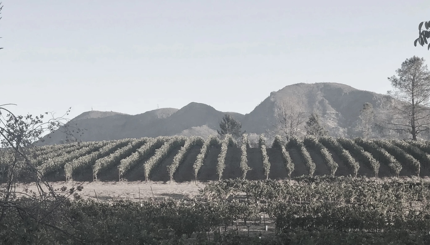 the wager vineyards