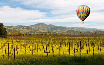 Things to Do in Calistoga in Spring: Your Complete Activity Guide