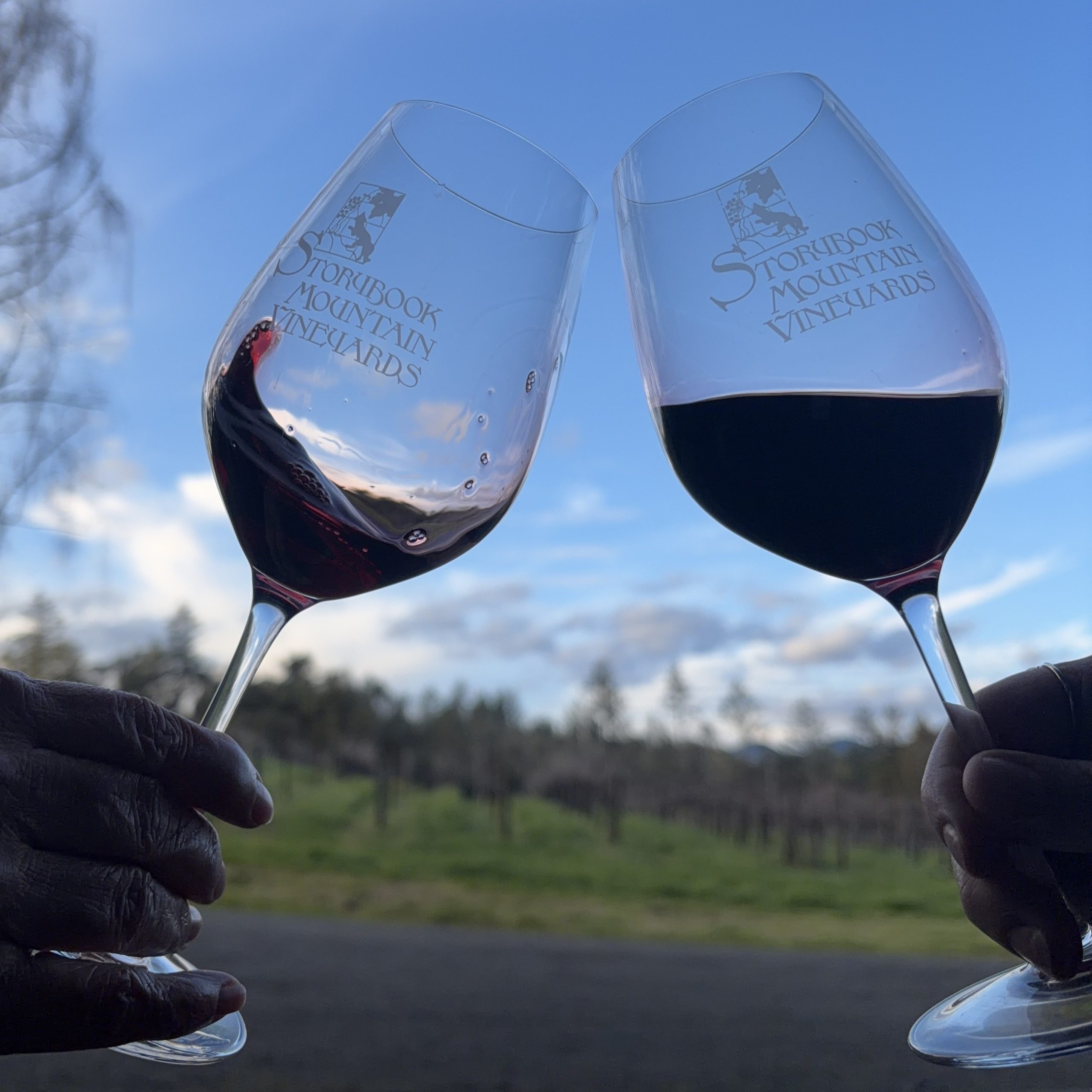 two stroybook branded wine glasses clinking