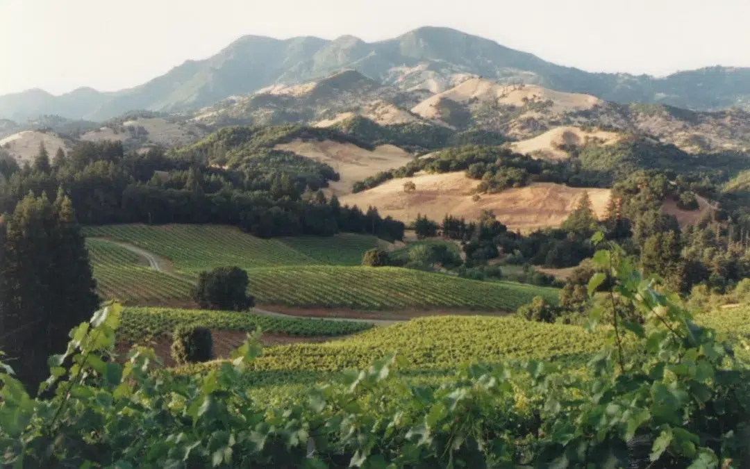 Storybook Mountain Vineyards