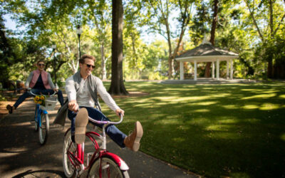 Napa Valley Bike Routes: Calistoga Road, Gravel & Rental Guide