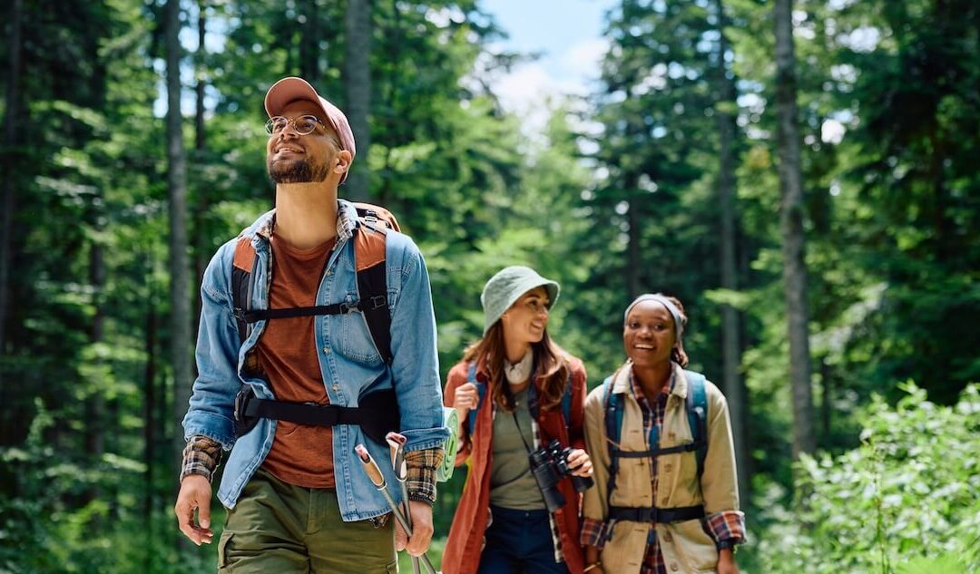 Best Hikes Near Calistoga: Trail Cards for Every Level