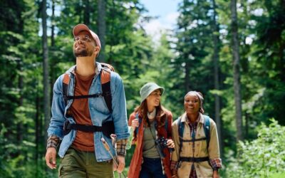 Best Hikes Near Calistoga: Trail Cards for Every Level